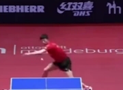 雷火电竞官网-德国乒乓球队险胜韩国乒乓球队，许昕关键制胜的简单介绍