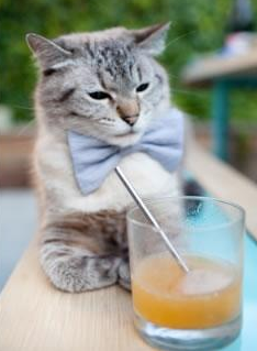 当上海队血拼掘金,塔图姆如何扛起一支城市的篮球魂