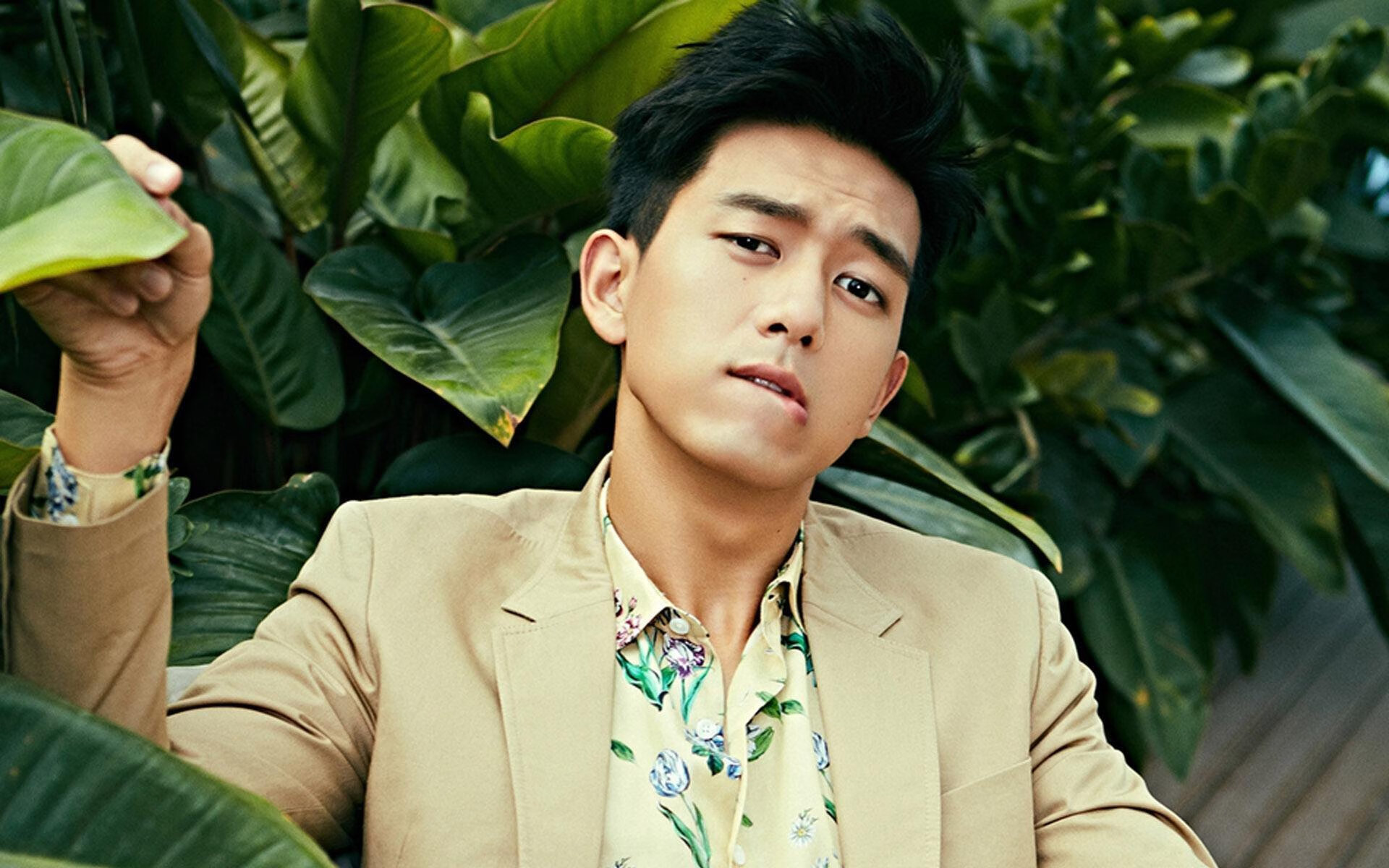 篮球世界的两把密钥,武切维奇稳定输出与森林狼防守锁死雄鹿